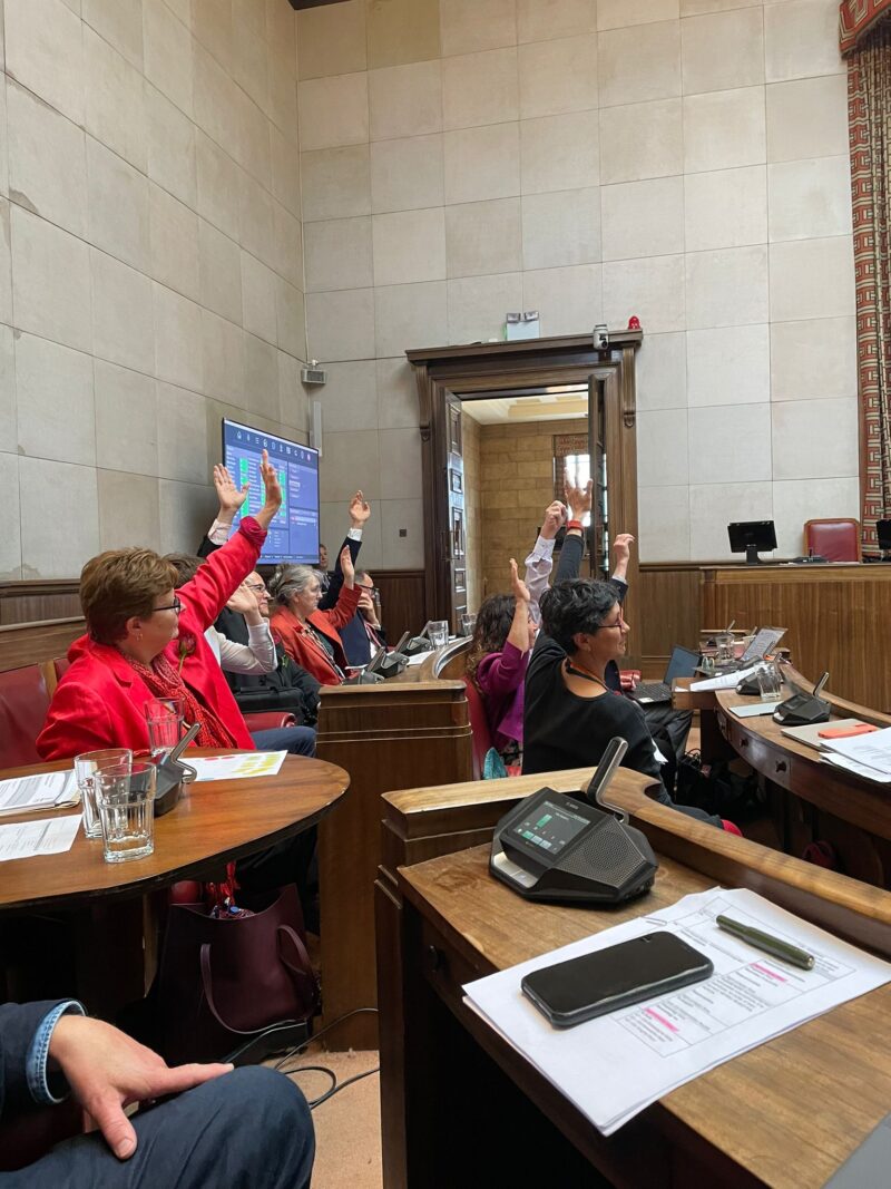 Labour Councillors Voting